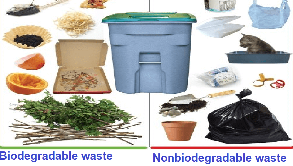 biodegradable and non biodegradable pollutants